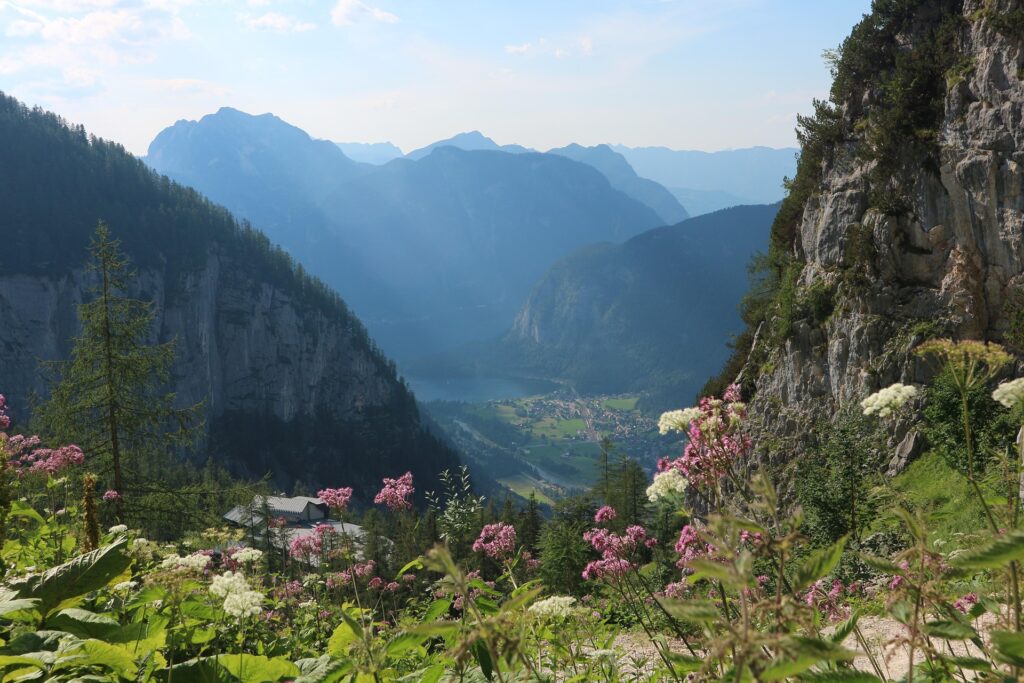 Vue panoramique sur une vallée de montagne avec un lac au loin et des fleurs sauvages au premier plan.
